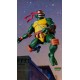 Teenage Mutant Ninja Turtles Ultimates Action Figure Wave 12 Raphael 18 cm